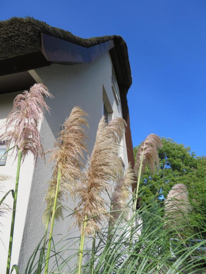 Boddenhaus Darss Apartment Wieck Exterior foto