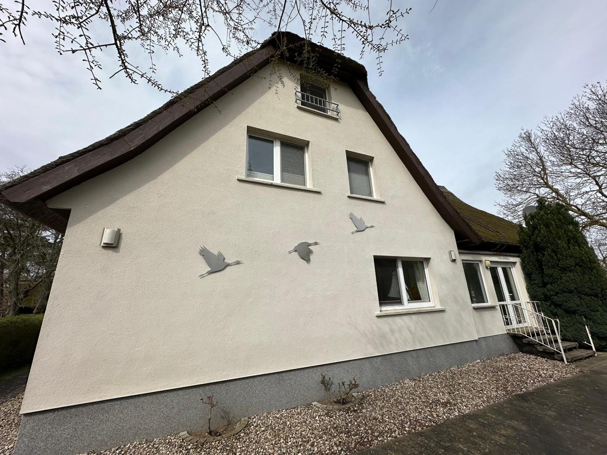 Boddenhaus Darss Apartment Wieck Exterior foto